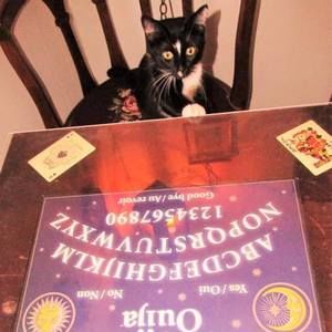 Meet your Posher, Annette